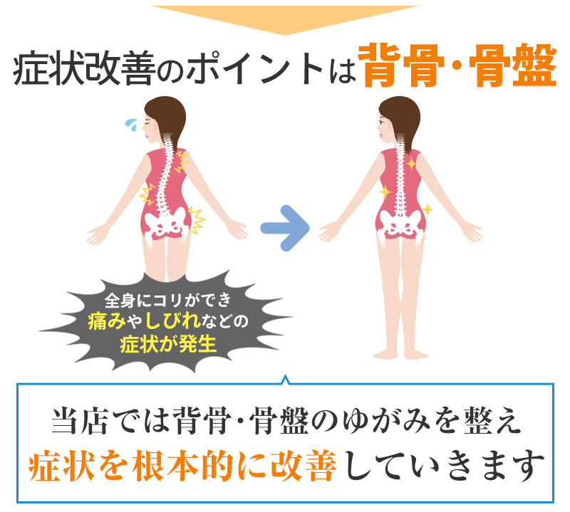 書状改善のポイントは背骨・骨盤